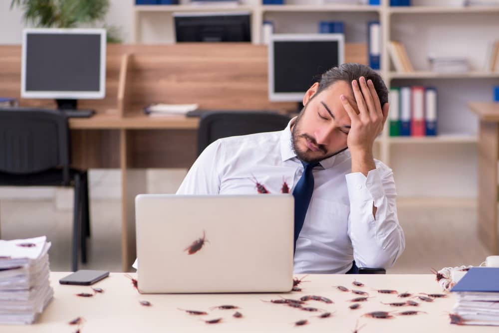 Quality Pest Control